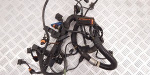 Проводка двигателя SMART Fortwo W450 (1998-2007) Проводка двигателя SMART Fortwo W450 (1998-2007)