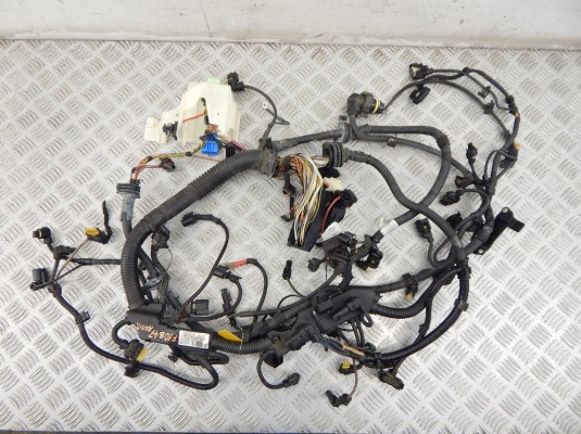 Проводка двигателя BMW 5-series (F10/11) 12 51 8 574 495 Проводка двигателя BMW 5-series (F10/11) 12 51 8 574 495