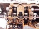 Двигатель BMW 3-series (E46)