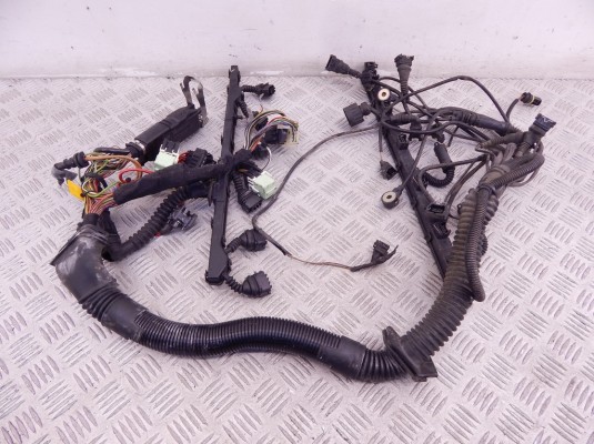 Проводка двигателя BMW 5-series (E39) 12 51 1 433 363