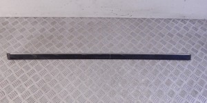 Молдинг двери передней левой BMW 5-series (E39) 51 13 8 159 295