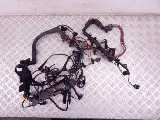 Проводка двигателя BMW 7-series (E65/66) 12 51 7 788 829 Проводка двигателя BMW 7-series (E65/66) 12 51 7 788 829