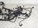 Проводка двигателя BMW X5-series (E70) 12 51 7 799 662