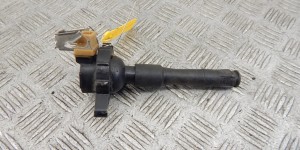 Катушка зажигания BMW 5-series (E39) 12 13 1 748 017 Катушка зажигания BMW 5-series (E39) 12 13 1 748 017
