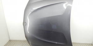 Капот BMW X3-series (F25) 41 61 7 267 337