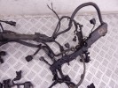 Проводка двигателя BMW 3-series (E46) 12 51 7 540 370