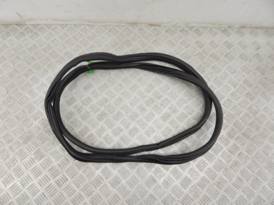 Уплотнитель двери задней левой BMW X6-series (E71) 7234933