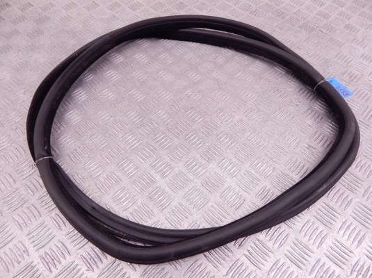 Уплотнитель BMW X5-series (E53) 51 72 7 025 580