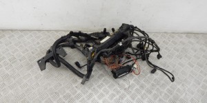 Проводка двигателя BMW X5-series (E53) 12 51 7 796 819 Проводка двигателя BMW X5-series (E53) 12 51 7 796 819