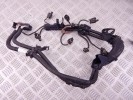 Проводка двигателя BMW X1-series (F48) 12 51 8 617 697