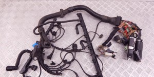 Проводка двигателя BMW 5-series (E39) 12 51 1 744 589
