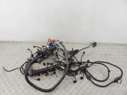 Проводка двигателя BMW 7-series (F01/02) 12 51 7 582 696