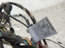 Проводка двери задней правой BMW X5-series (E70) 61 12 9 207 859