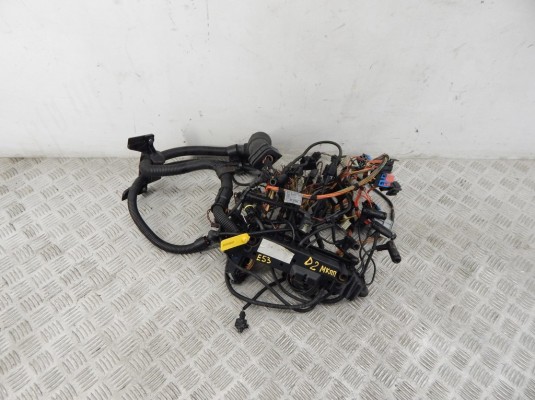 Проводка двигателя BMW X5-series (E53) 12 51 7 800 942