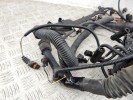 Проводка двигателя BMW X5-series (E53) 12 51 7 788 168
