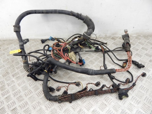 Проводка двигателя BMW X5-series (E53) 12 51 7 788 168