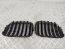 Решетка радиатора BMW X5-series (E53) 51 13 7 113 734