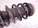 Стойка передняя левая BMW X5-series (E53) 31 31 6 764 601