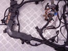 Проводка двигателя BMW 7-series (F01/02) 12 51 7 811 980
