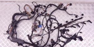 Проводка двигателя BMW 7-series (F01/02) 12 51 7 811 980 Проводка двигателя BMW 7-series (F01/02) 12 51 7 811 980