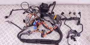 Проводка двигателя BMW 3-series (E90/91/92) 12 51 7 549 280