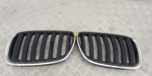 Решетка радиатора BMW X5-series (E53) 51 13 7 113 734