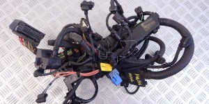 Проводка двигателя BMW 3-series (E46) 12 53 7 540 367