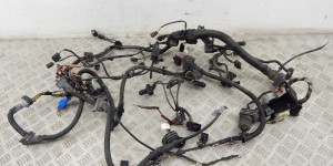 Проводка двигателя BMW 5-series (F10/11) 12 51 7 823 651 Проводка двигателя BMW 5-series (F10/11) 12 51 7 823 651