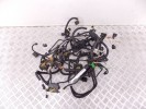 Проводка двигателя BMW 3-series (F30/31) 12 51 8 645 494