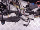 Проводка двигателя BMW 3-series (E46) 12 51 7 515 716