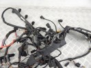 Проводка двигателя BMW X5-series (E70) 12 51 7 810 118