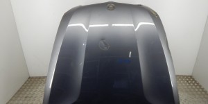 Капот BMW X5-series (E70) 41 61 7 486 754