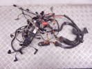 Проводка двигателя BMW X5-series (E53) 12 51 7 796 818
