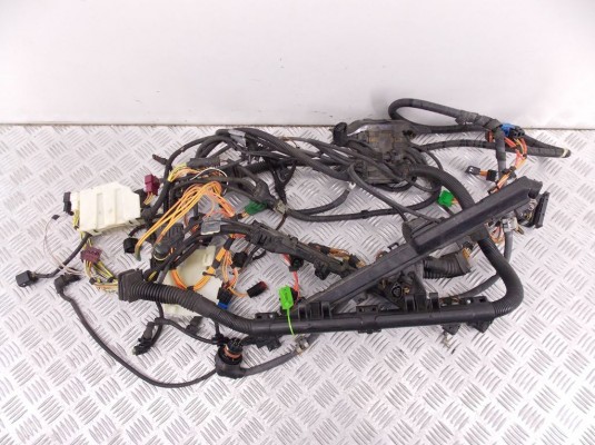 Проводка двигателя BMW 3-series (E90/91/92) 12 51 7 555 015