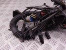 Проводка двигателя BMW 5-series (E39) 12 51 7 785 650