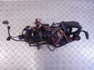 Проводка двигателя BMW 5-series (E39) 12 51 2 249 413