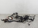 Проводка двигателя BMW X5-series (E70) 12 51 7 799 662