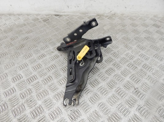 Петля капота BMW X5-series (E70) 41 00 7 198 618