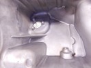 Поддон BMW 3-series (E90/91/92) 11 13 7 552 414
