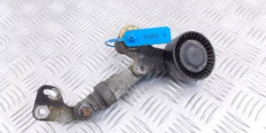 Натяжитель BMW X5-series (E53) 1433502