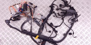 Проводка двигателя BMW 3-series (E90/91/92) 12 51 7 549 280 Проводка двигателя BMW 3-series (E90/91/92) 12 51 7 549 280