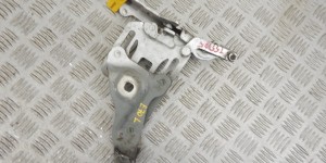 Петля капота левая BMW X5-series (E70) 7148347