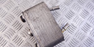 Теплообменник АКПП BMW X5-series (E53) 17 20 7 500 754