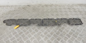 Заглушка (решетка) в бампер передний BMW X5-series (E53) 51 11 7 111 767