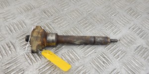 Форсунка BMW 3-series (E46)