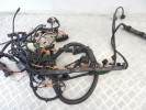 Проводка двигателя BMW 5-series (E60/61) 12 51 7 557 824