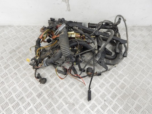 Проводка двигателя BMW X5-series (E53) 12 51 7 526 695