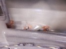 Крышка багажника (дверь 3-5) BMW 3-series (E46) 41 62 8 158 552