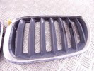 Решетка радиатора BMW X5-series (E53) 51 13 7 113 734