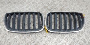 Решетка радиатора BMW X5-series (E53) 51 13 7 124 815